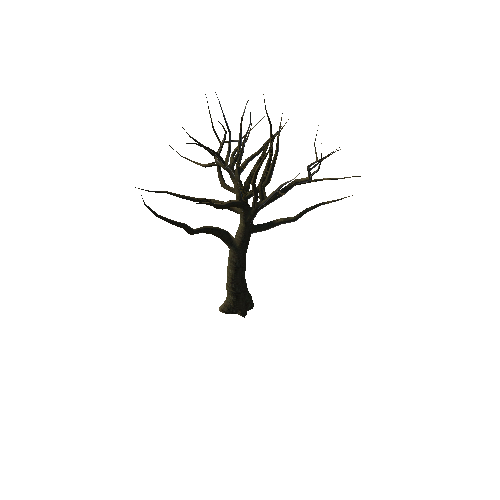 Tree 13_1